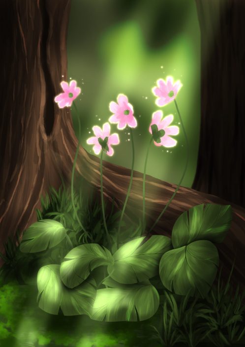 Leuchtende Waldblumen, Illustration